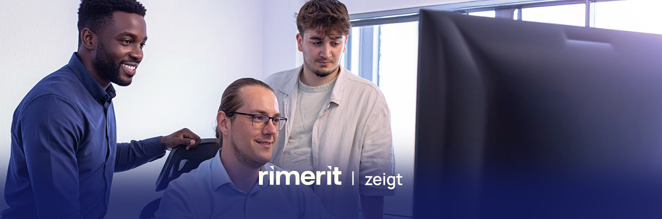 Equipo RIMERIT mirando la pantalla